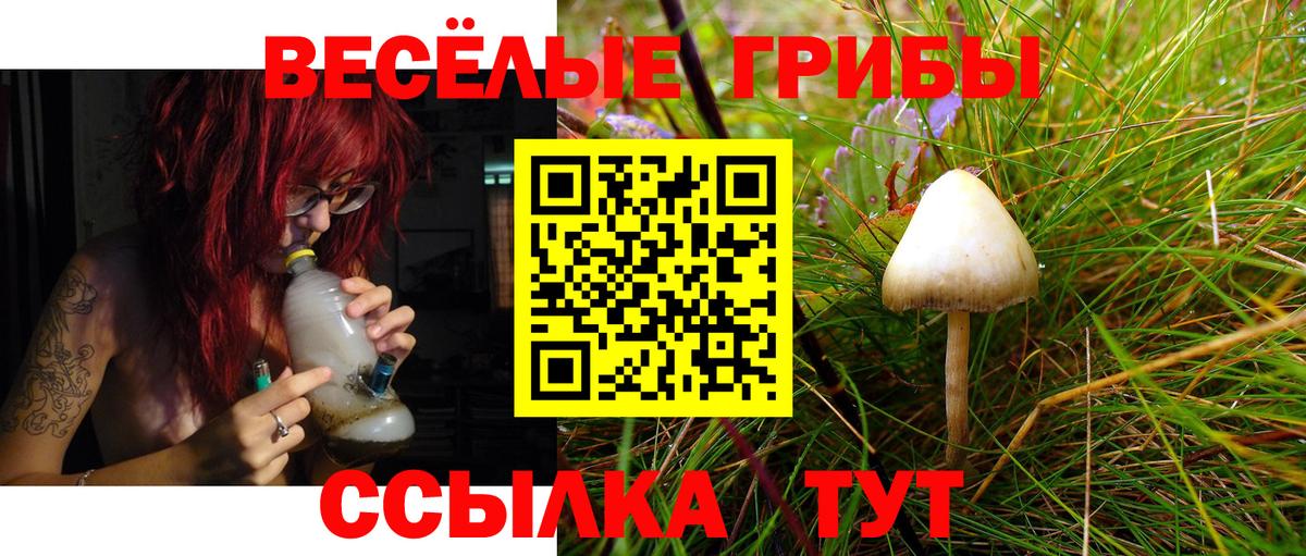 Галлюциногенные грибы мицелий  Галлюциногенные грибы прущие грибы  купить наркоту  Вход с VPN  Трёхгорный 